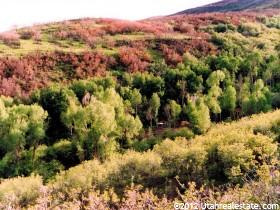 305 E 1400 S, Hoytsville, UT 84017