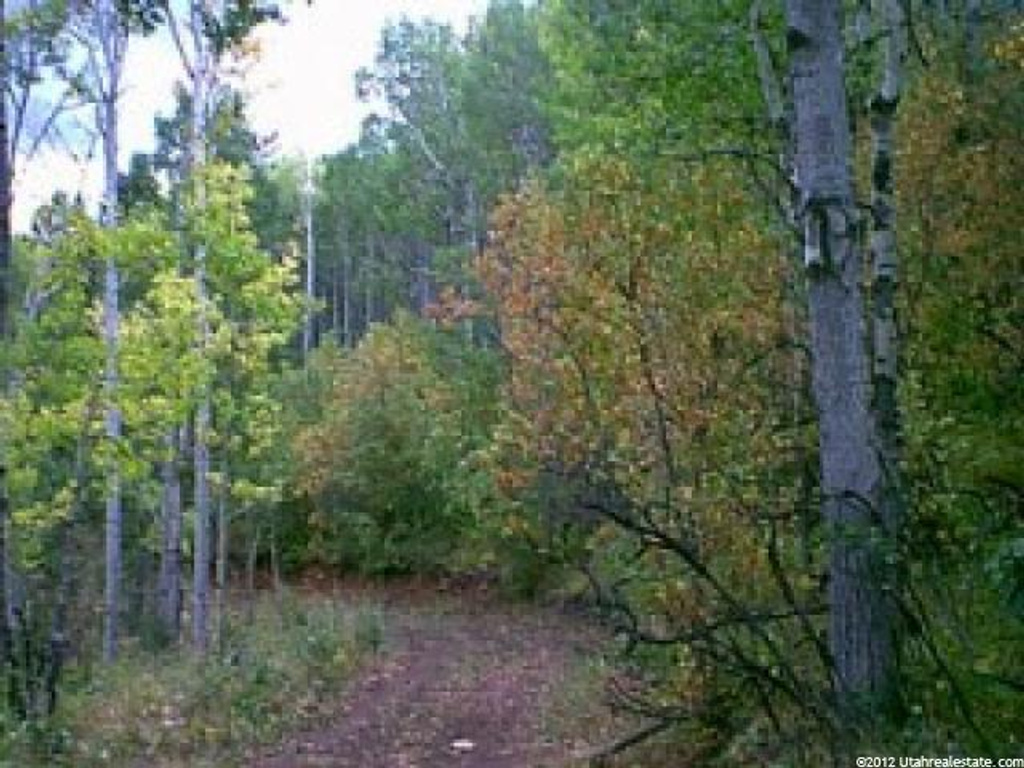 #33, Tabiona, UT 84072