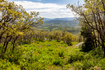 Photo 6 for 9029  Quail Ridge Ln