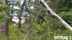 Photo 5 for 22596 S Snowbird Dr