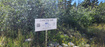 Photo 3 for 22596 S Snowbird Dr