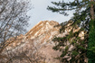 Photo 6 for 2227 E 5340 S