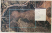 Photo 5 for 240  Acres In Glendale