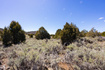 Photo 5 for 240  Acres In Glendale