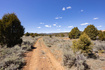 Photo 2 for 240  Acres In Glendale