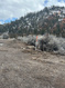 Photo 6 for 240  Acres In Glendale