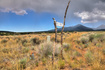 Photo 4 for 105 E Deer Creek Rd