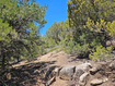 Photo 4 for 255 S Canyon Creek Cir