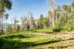 Photo 3 for 3530 N Wolf Creek Rnch