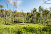 Photo 4 for 3530 N Wolf Creek Rnch