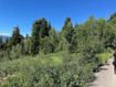 Photo 1 for 56  K Quaking Pine Cir