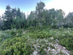 Photo 5 for 56  K Quaking Pine Cir
