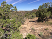 Photo 2 for 182 E Pole Canyon Rd5