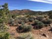 Photo 5 for 182 E Pole Canyon Rd5