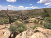Photo 4 for 188  Pole Canyon Rd6