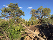 Photo 3 for 170 E Pole Canyon Rd7