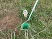 Photo 2 for 25526 N 11440 E
