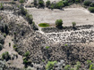 Photo 1 for 950 W Hwy 29