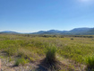Photo 4 for 9500 W Dairy Creek Rd