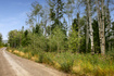 Photo 1 for 17166 S Sundance Dr