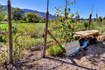 Photo 5 for 2927 S East Bench Rd