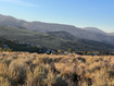 Photo 1 for 7425 W Step Mountain Rd