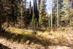 Photo 6 for 9407 E Wild Clematis Ln