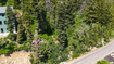 Photo 4 for 385  Upper Evergreen Dr