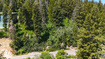Photo 3 for 385  Upper Evergreen Dr