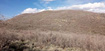 Photo 5 for 54 N Mount Baldy Loop