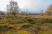 Photo 2 for 4502 E 6000 N