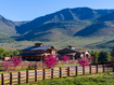 Photo 4 for 7461 E Sky Ranch Rd