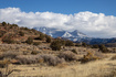 Photo 5 for 201 E Mt. Peale St