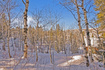 Photo 6 for 51  Aspen Loop #51&amp;52