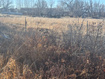 Photo 3 for 235 N 200 W