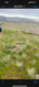 Photo 5 for 17  Elk Ridge Rnch