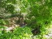 Photo 6 for 2960 E Oak Park Ln