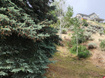 Photo 3 for 1924 E Viscounti Dr