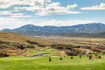Photo 5 for 4323  Galts Gulch