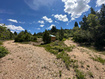 Photo 5 for 1050 W Meadow Rd