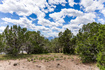 Photo 5 for 1531 N Red Castle Cir
