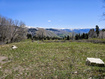 Photo 1 for 58  Thads Peak Dr