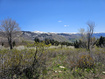 Photo 5 for 58  Thads Peak Dr