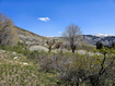 Photo 6 for 58  Thads Peak Dr