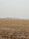 Photo 2 for 1272 E 4000 S
