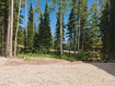 Photo 3 for 314  White Pine Canyon Rd
