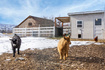 Photo 2 for 3572 E Wild Mare Way