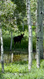 Photo 6 for 11249 E Columbine Ln #1607
