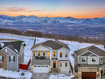 Photo 1 for 14678 S Silver Blossom Way