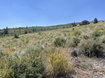Photo 4 for 3335 S Mules Ear Cir